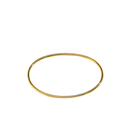 Bangle Anklet